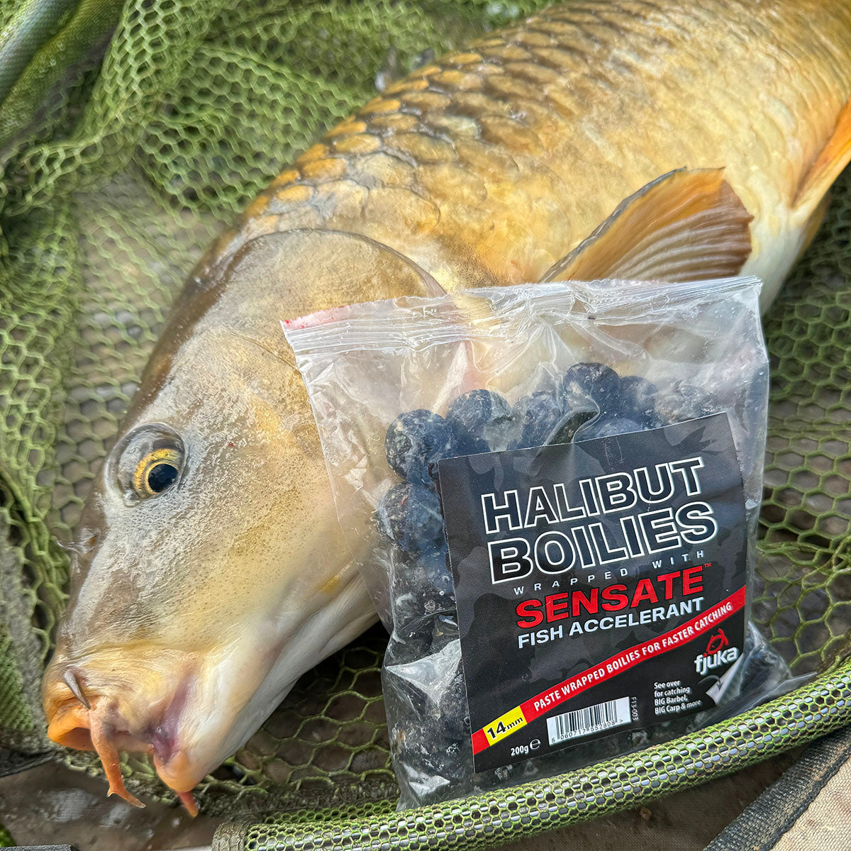 Sensate™ Halibut Wrapped Boilies – Fjuka Online Store