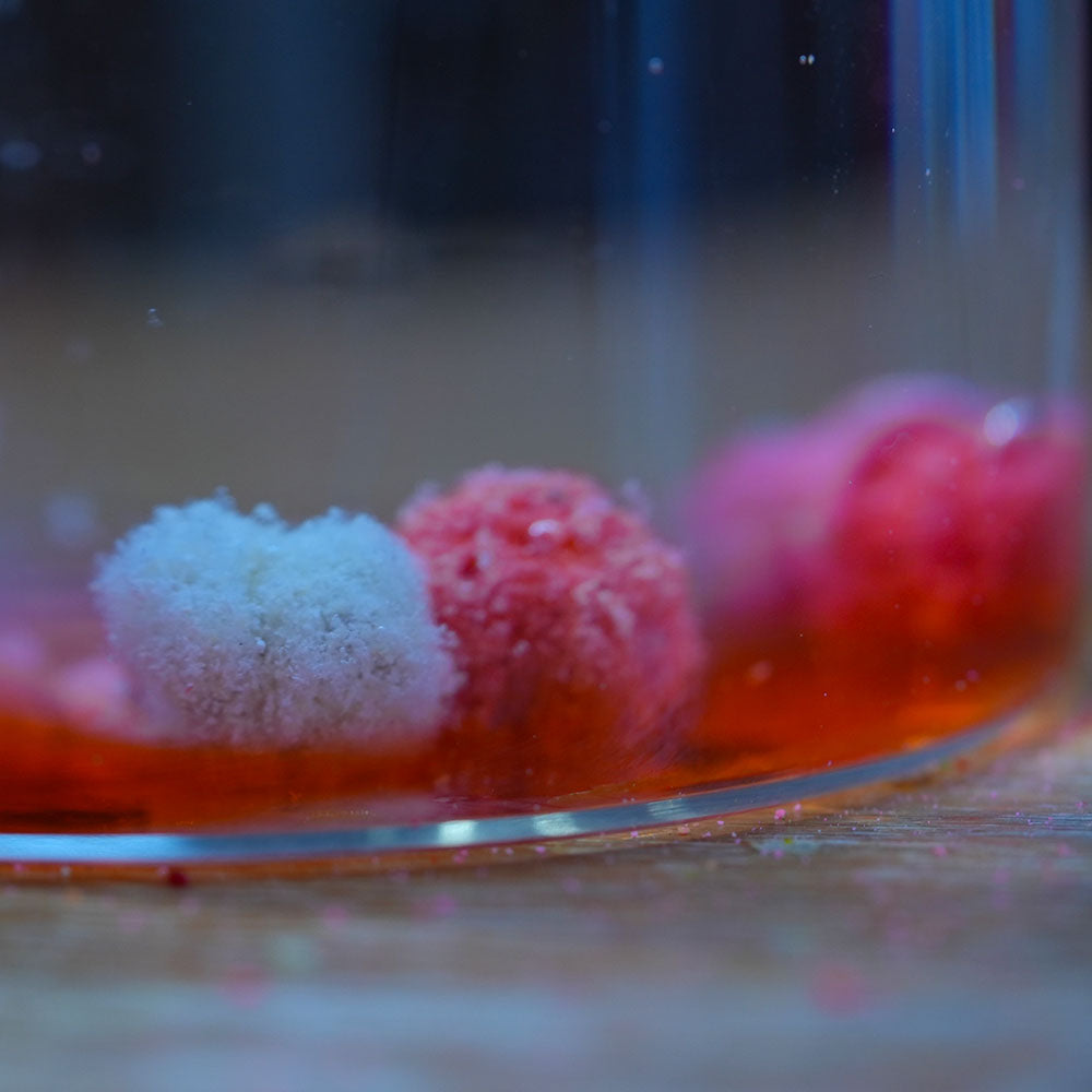 
                  
                    Sensate™ Fish Accelerant Bait Coating Powder
                  
                