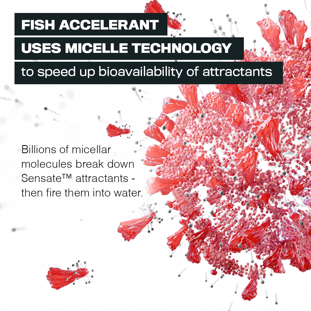
                  
                    100ml Sensate™ Fish Accelerant
                  
                