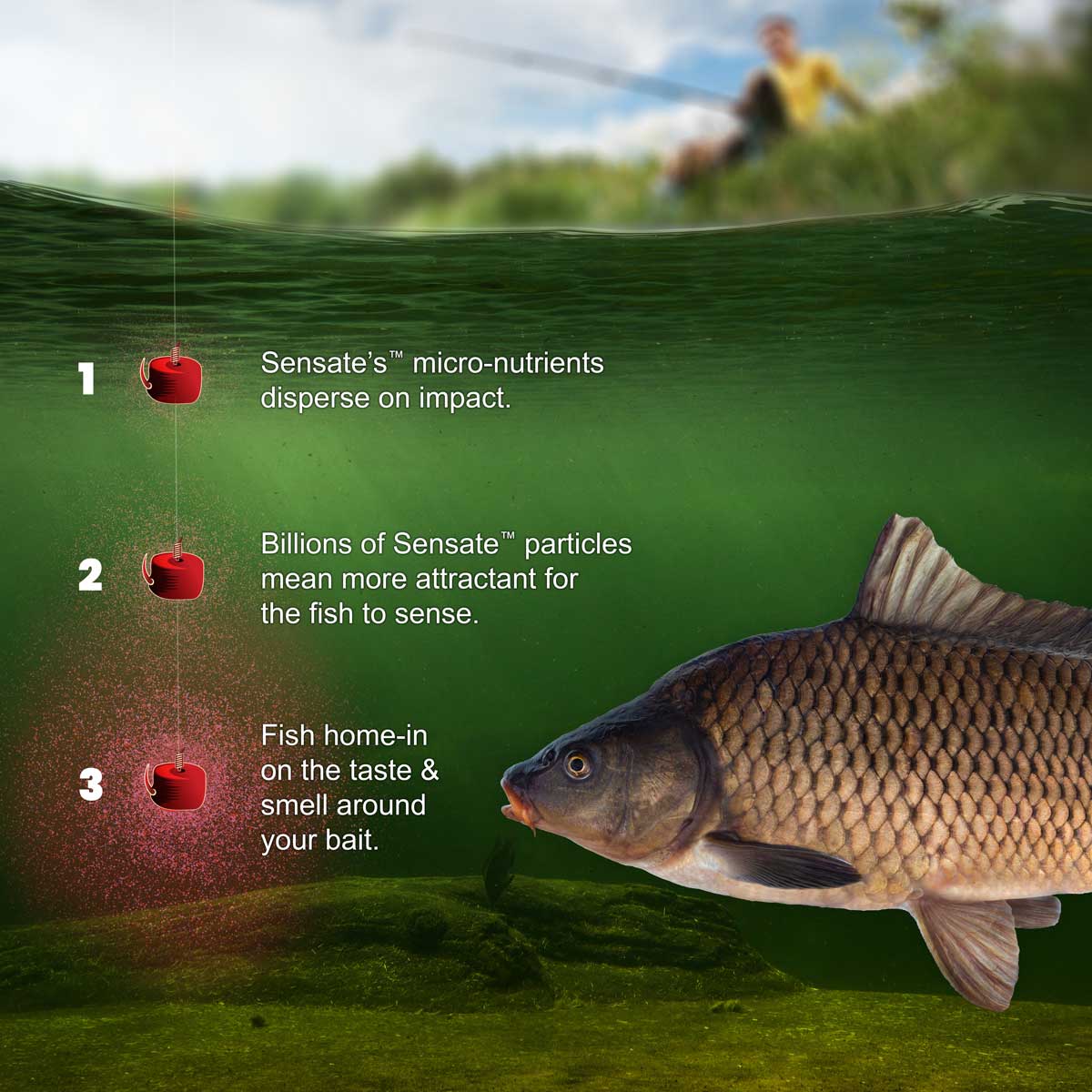 Sensate™ Fish Accelerant - Bait Dyes – Fjuka Online Store