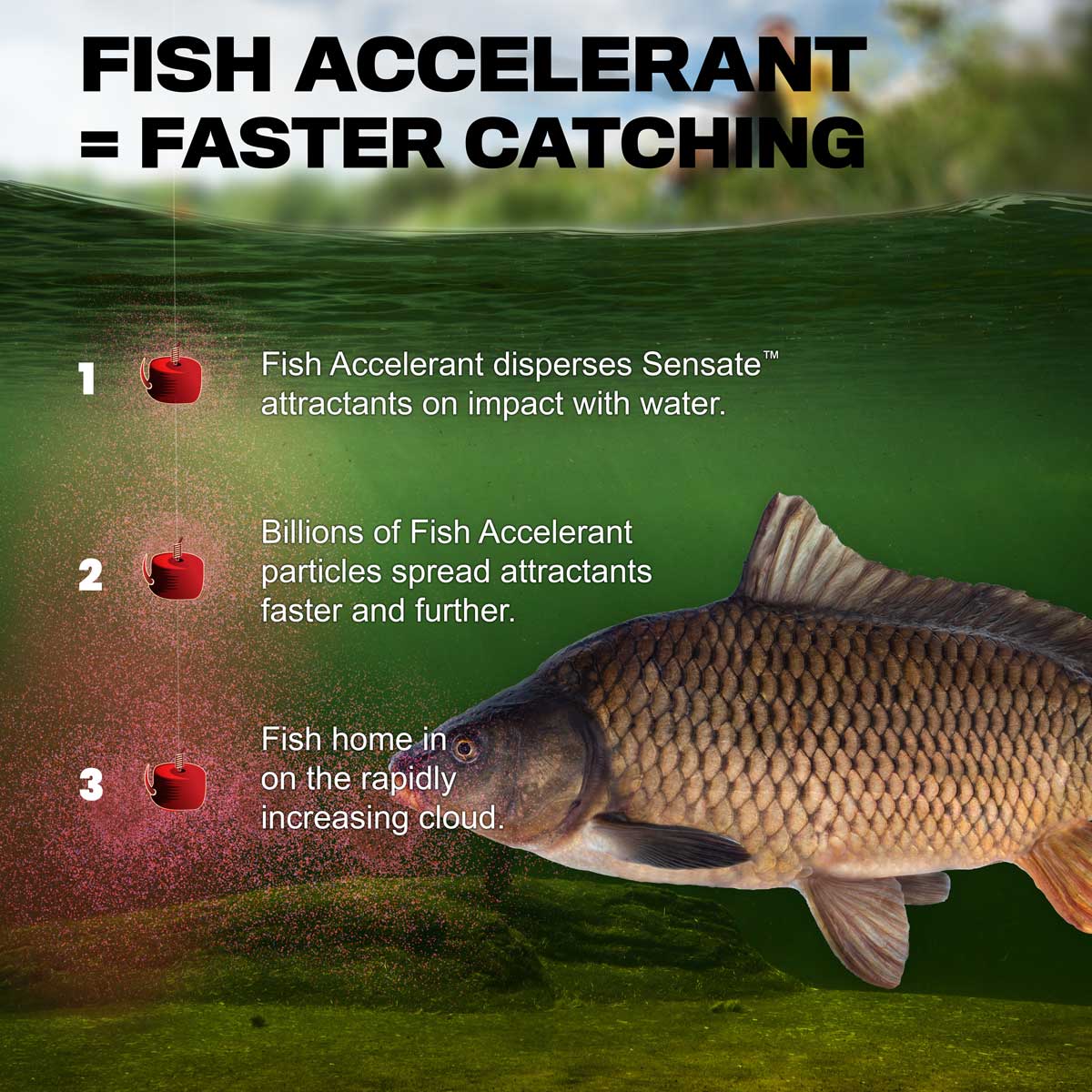 
                  
                    50ml Sensate™ Fish Accelerant
                  
                